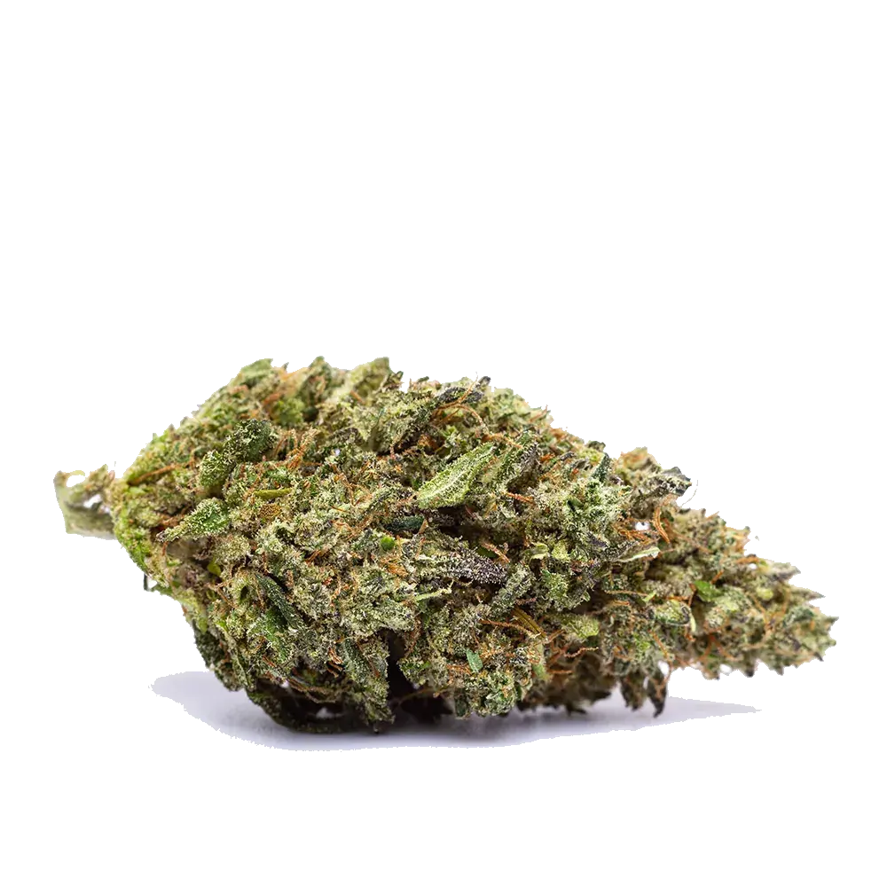 Mango Zkittlez - miniatura 4