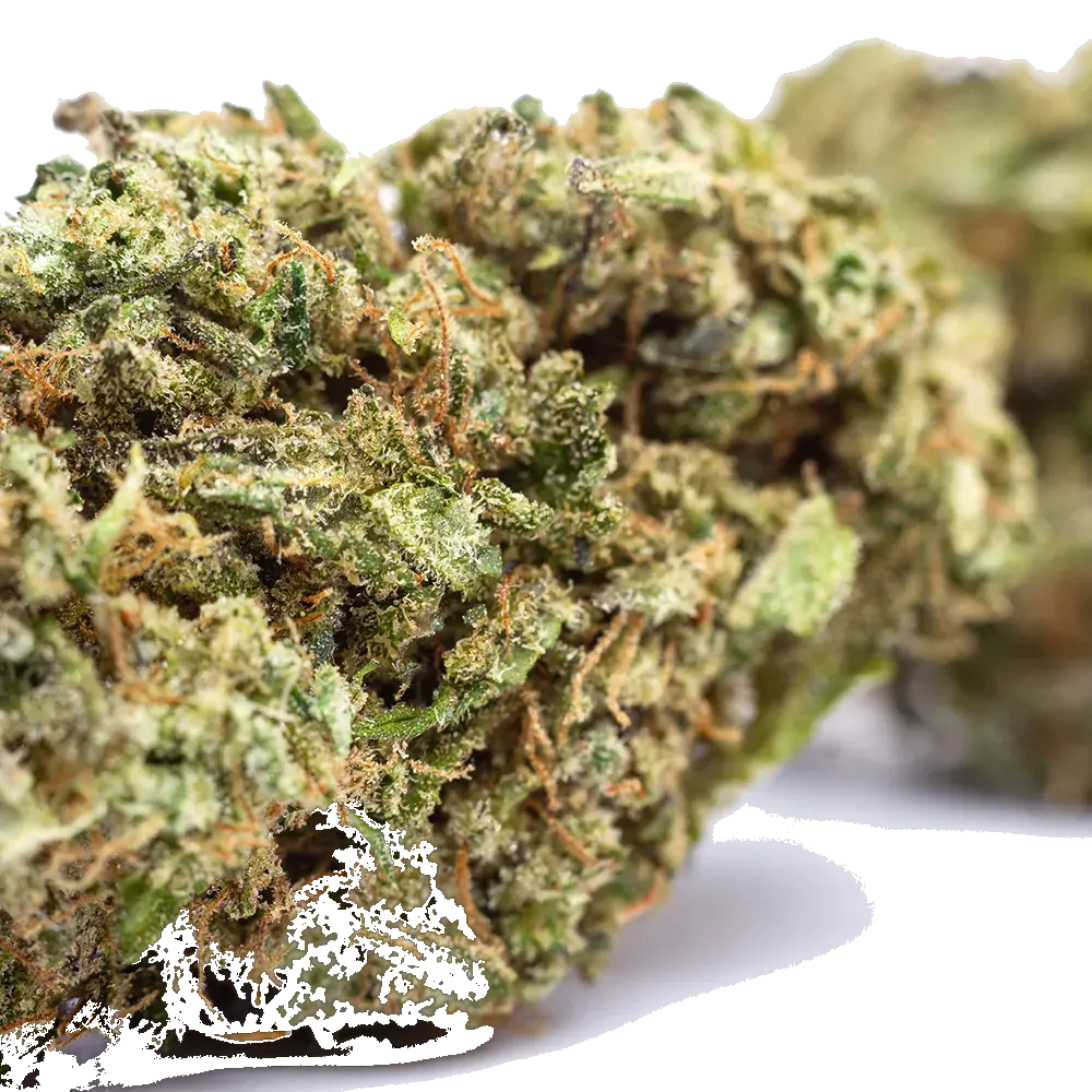 Mango Zkittlez - miniatura 2