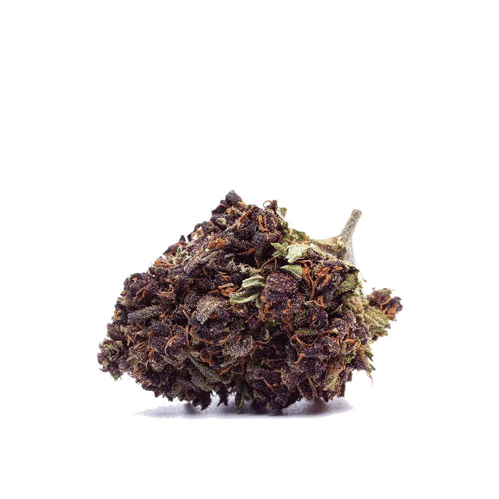 Purple Haze - miniatura 4