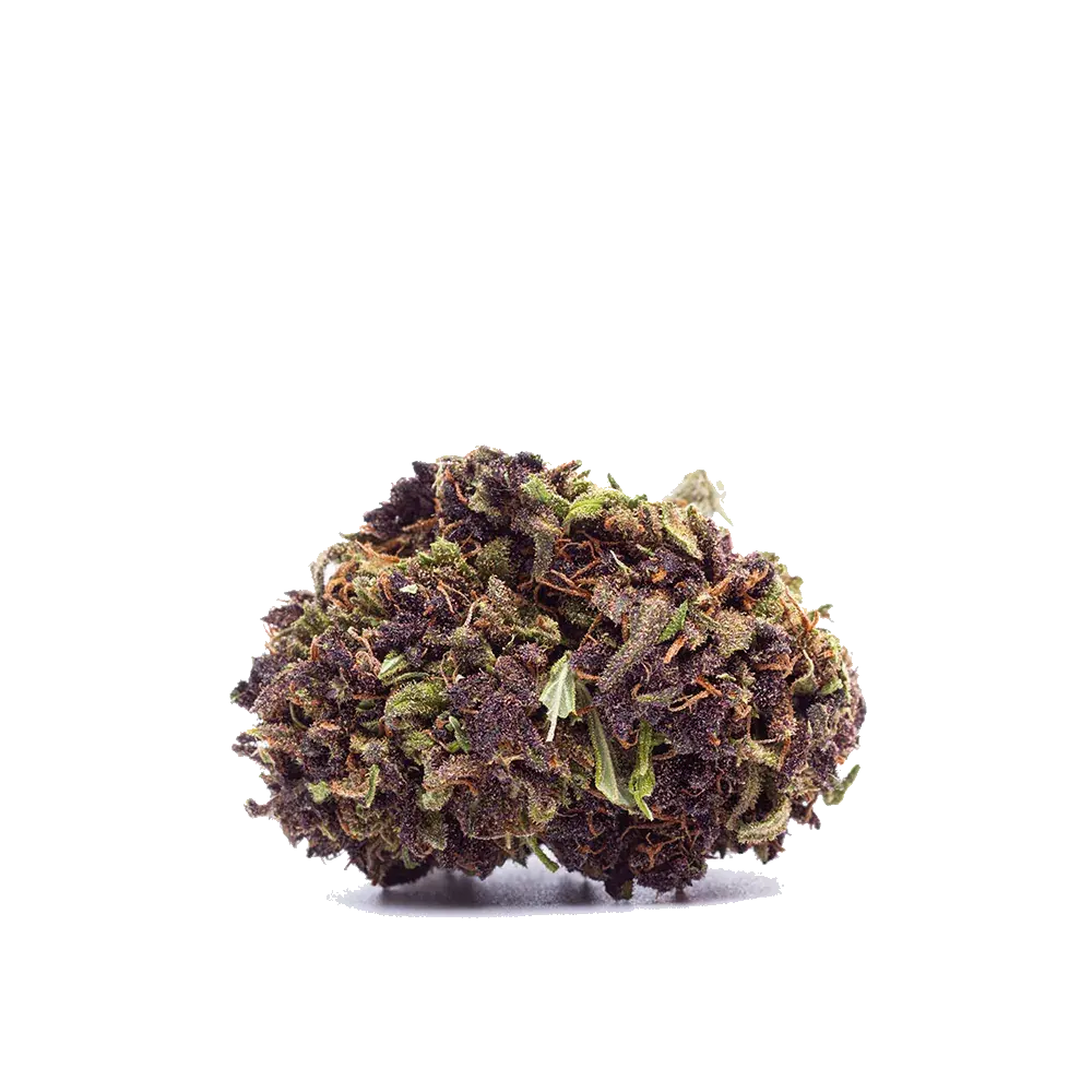 Purple Haze - miniatura 3