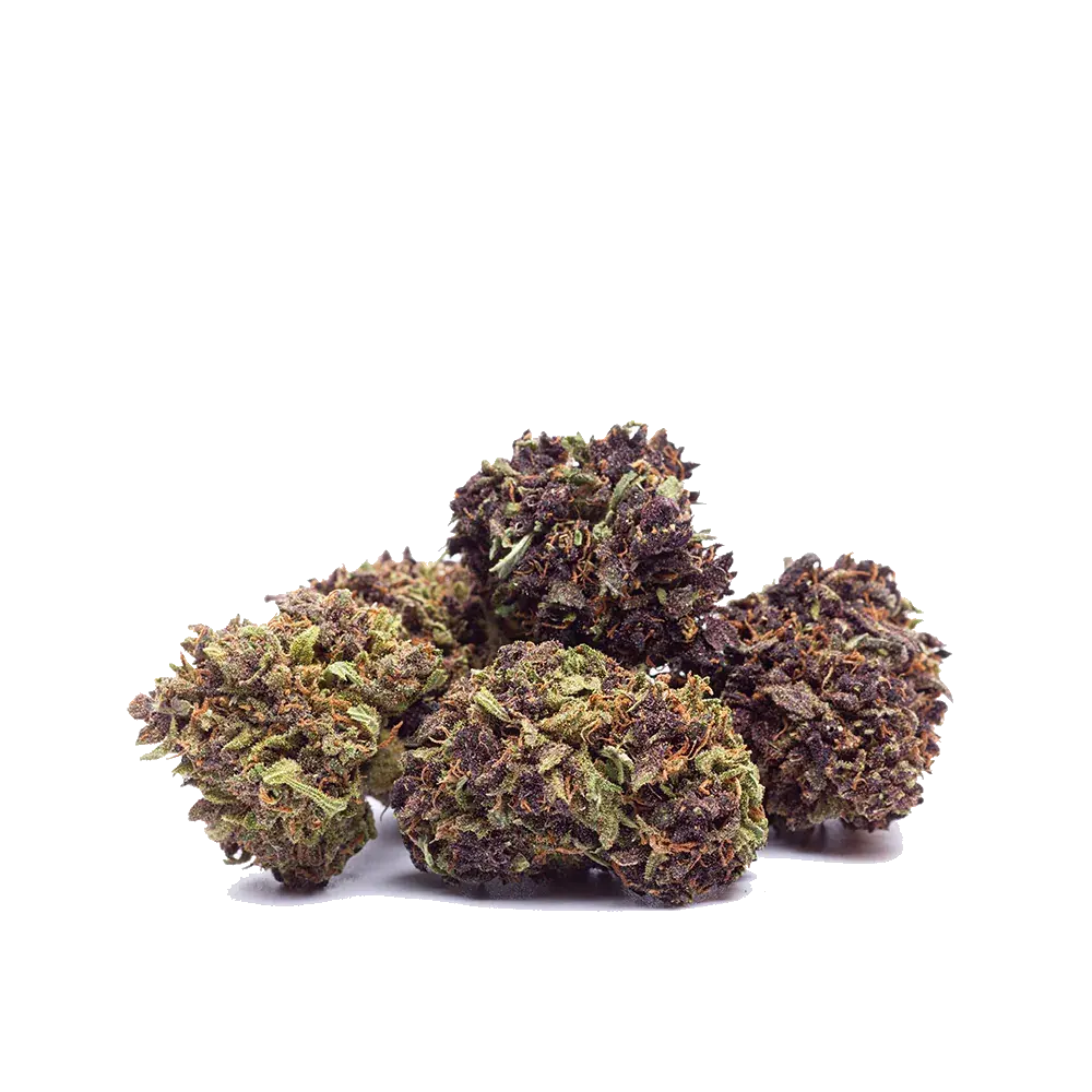 Purple Haze