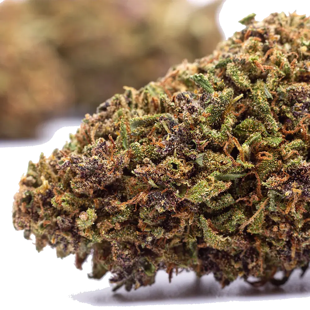 Purple Runtz - miniature 4