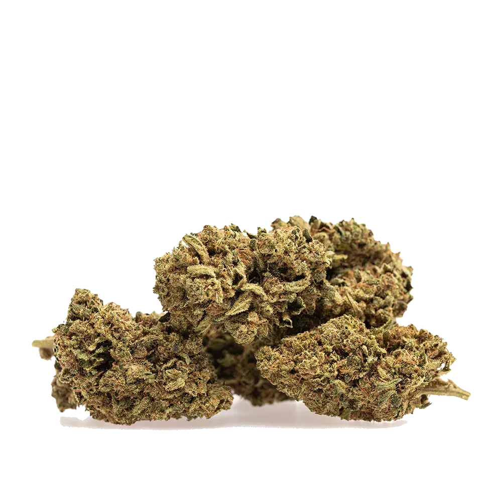 Skunk - miniatura 3