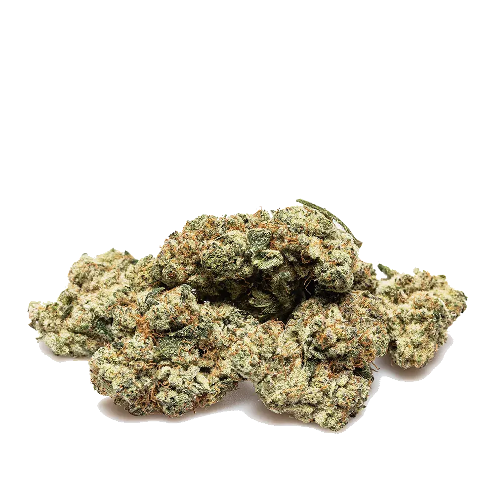 Strawberry Payton's Usa - miniatura 3