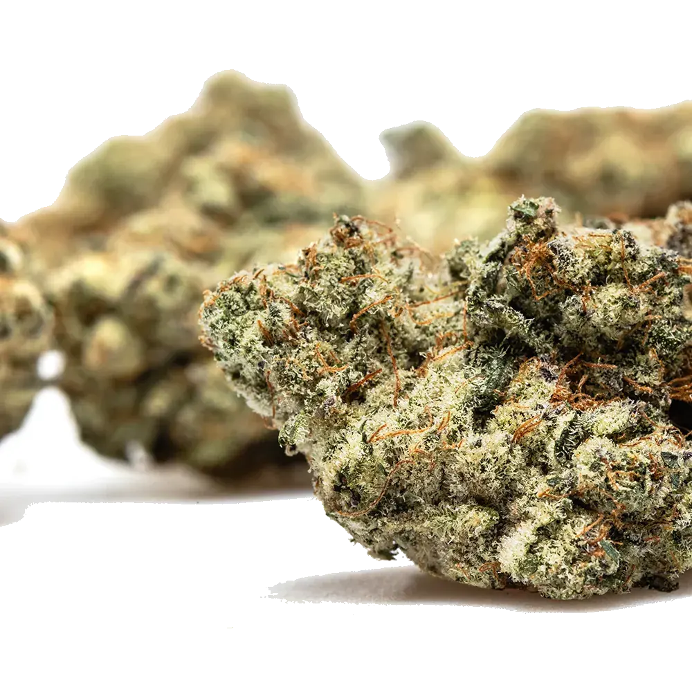Strawberry Payton's Usa - miniatura 4
