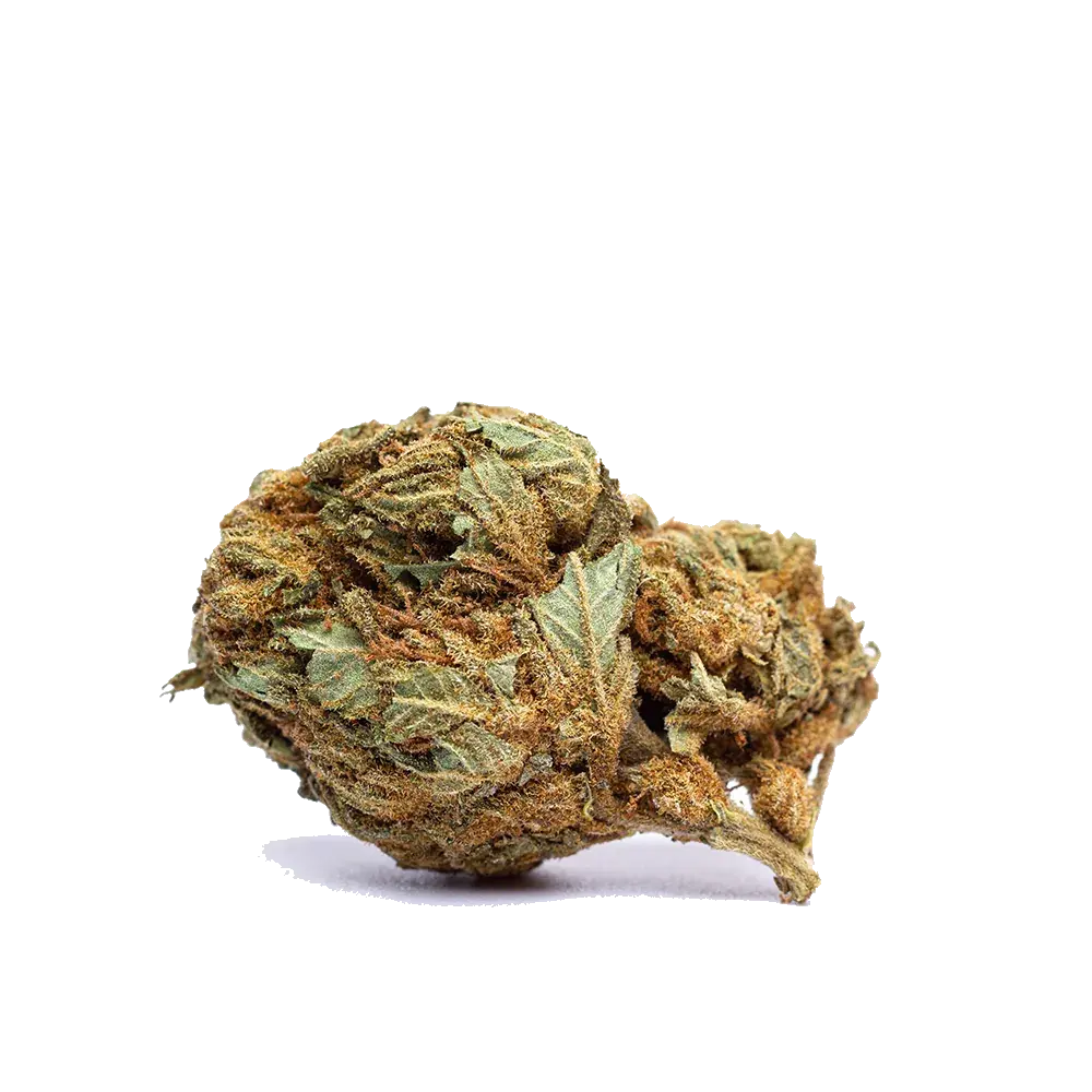 White Widow - miniatura 2