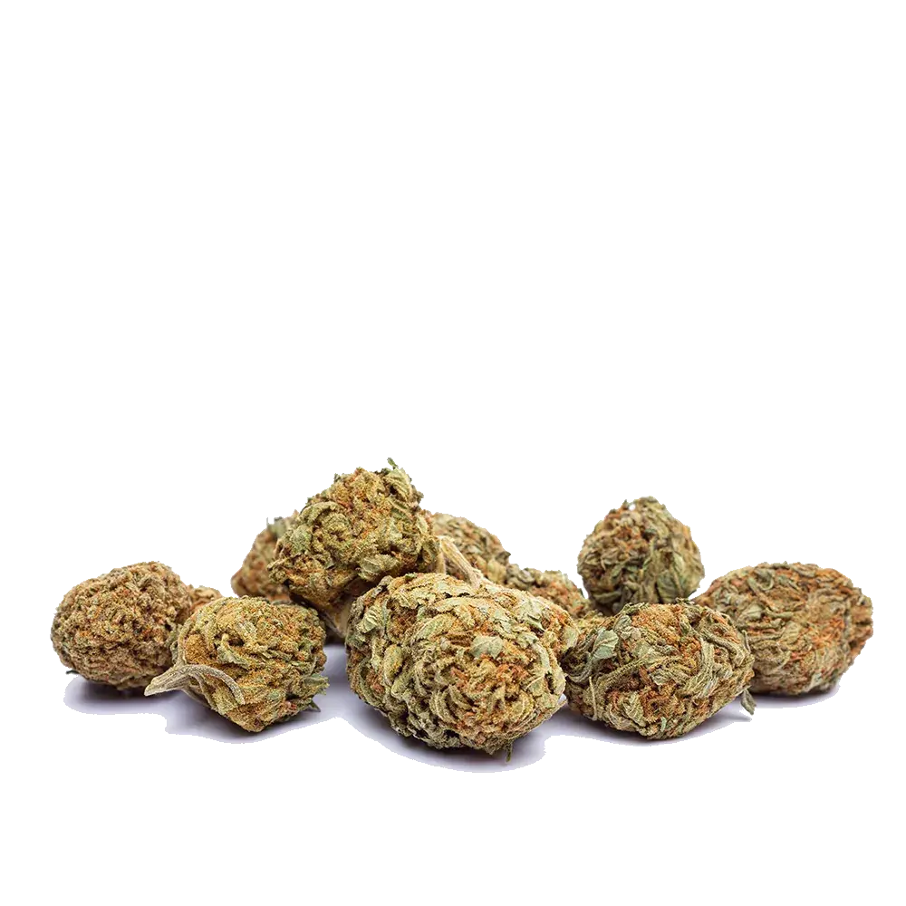 White Widow - miniatura 3