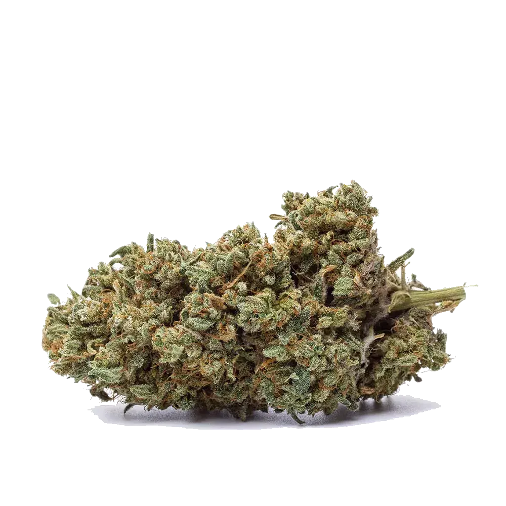 Kosher Kush