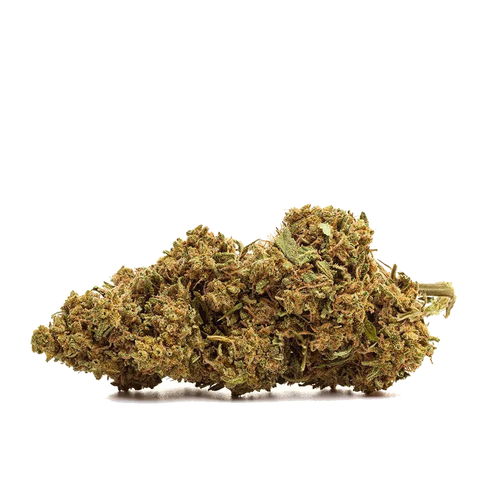 NYC Diesel - miniature 2