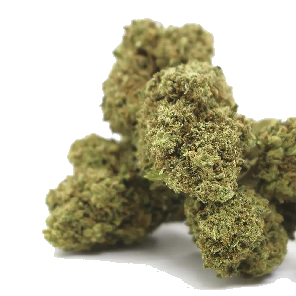 OG Mint - miniatura 2