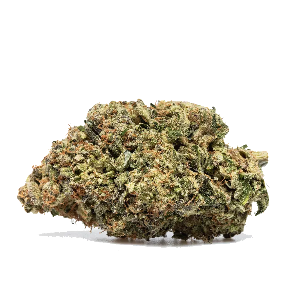 Payton's Lemon s1 - miniatura 2
