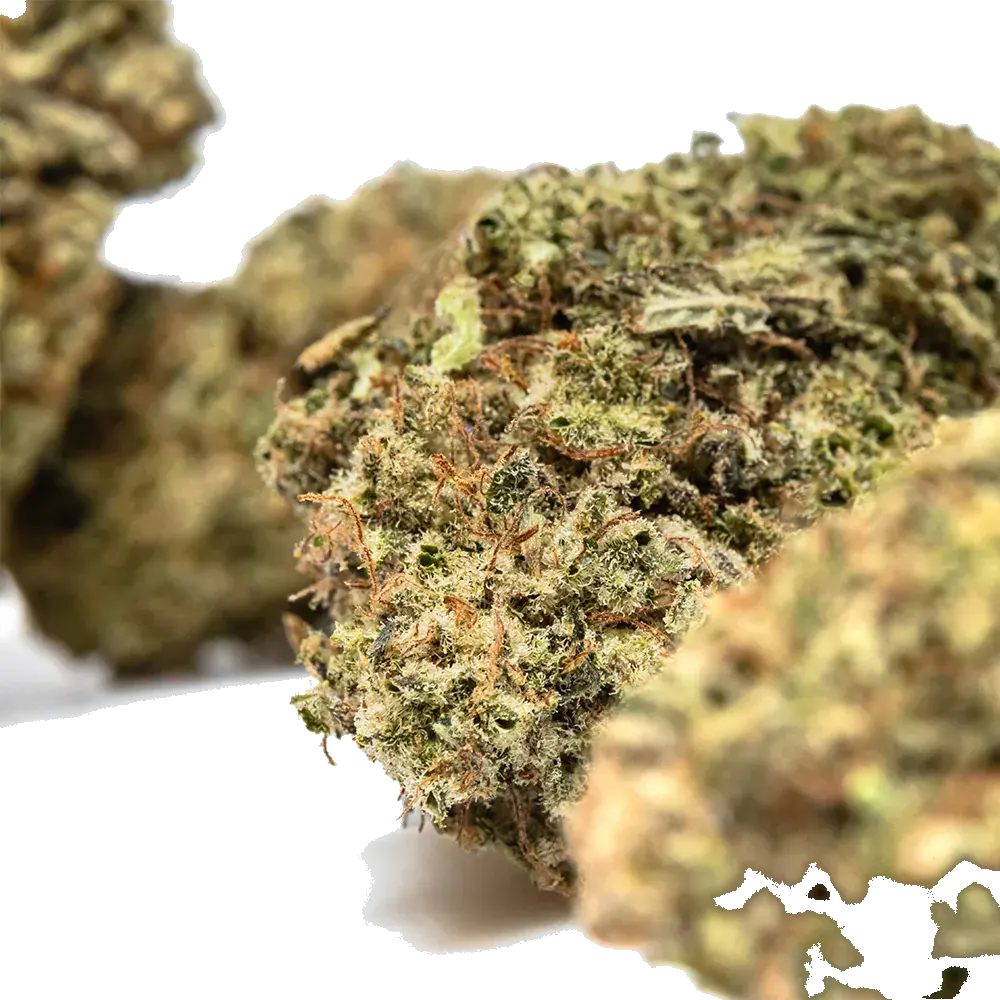Pineapple Gusher - miniatura 4