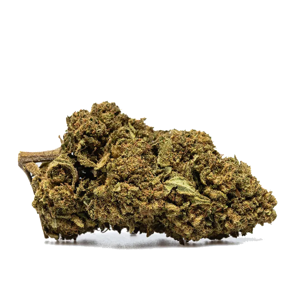 Skywalker Og - miniatura 2