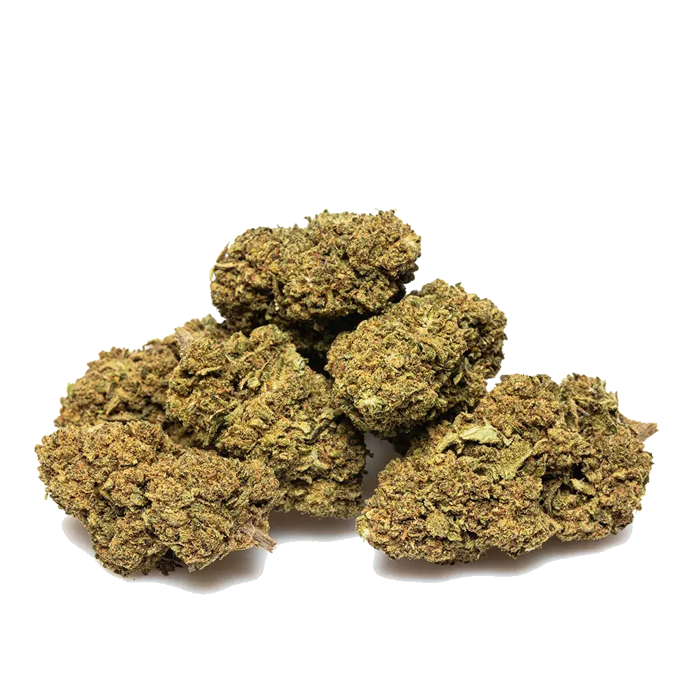 Skywalker Og - miniatura 3