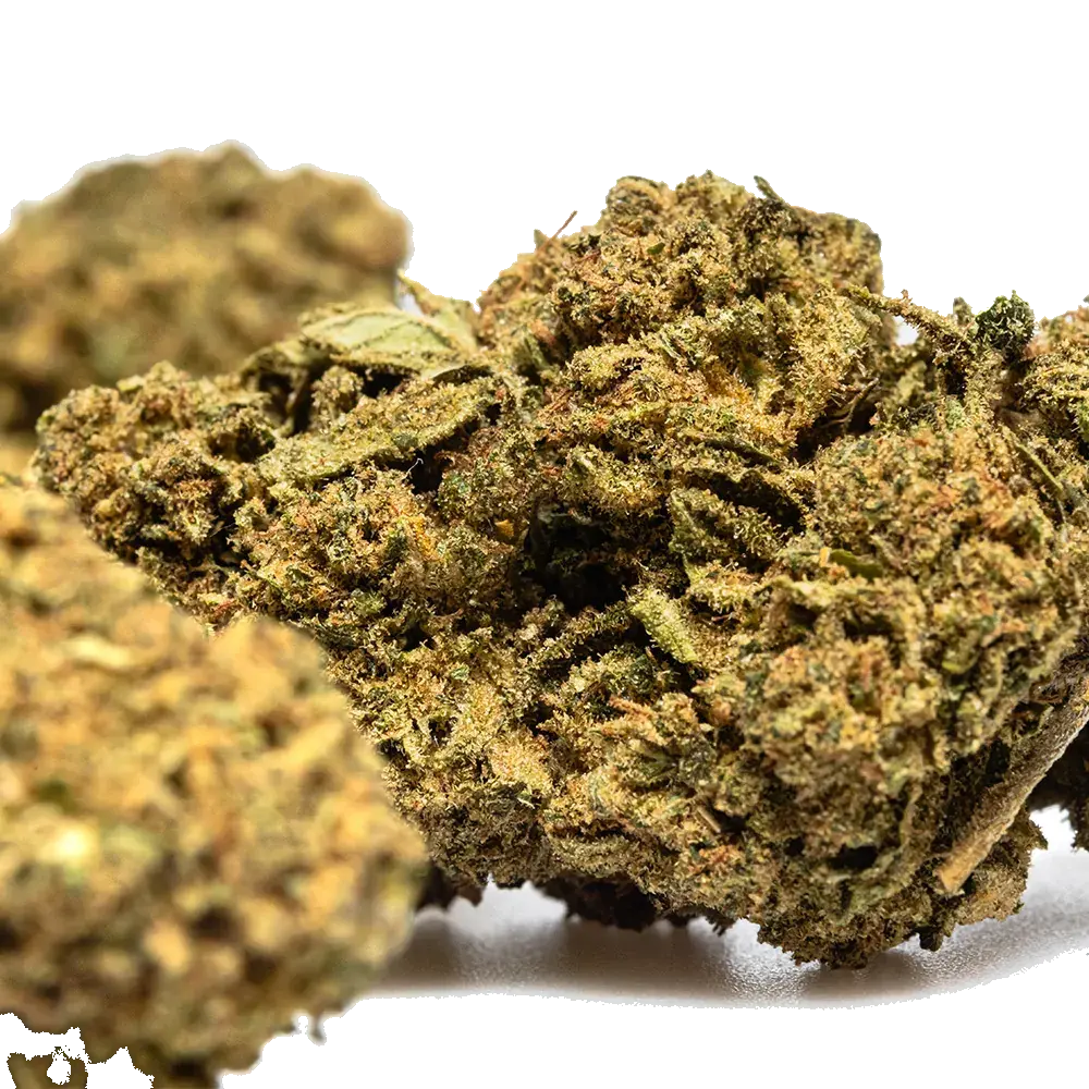 Skywalker Og - miniatura 4
