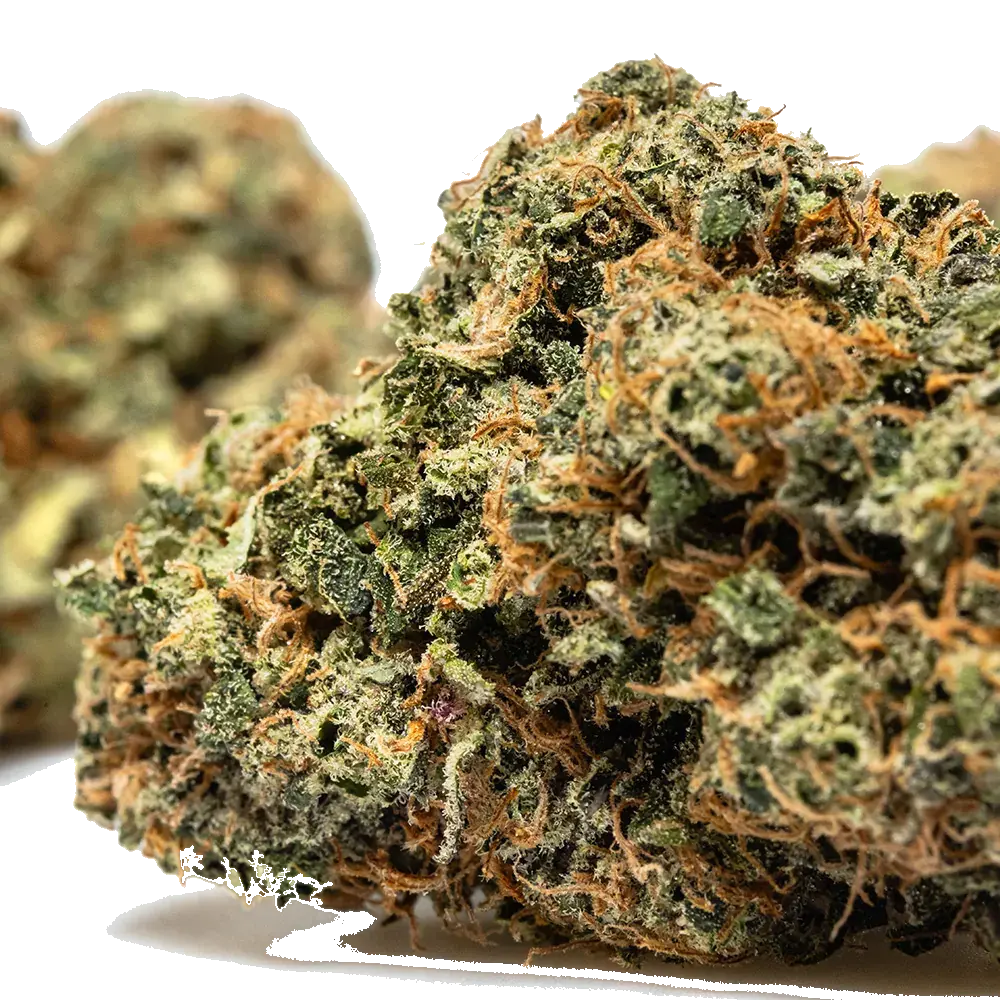 Strawberry Lemon Kush - miniatura 4