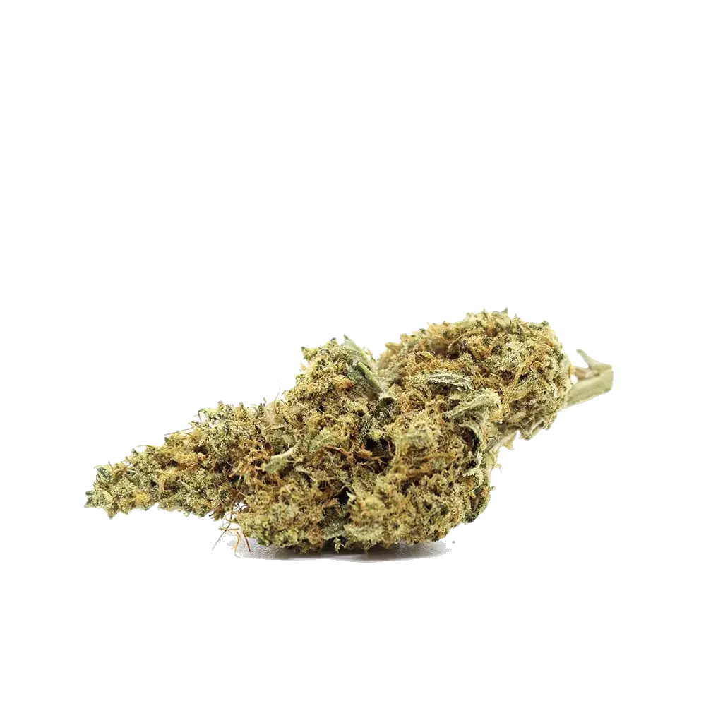 Super Sour Diesel - miniatura 2