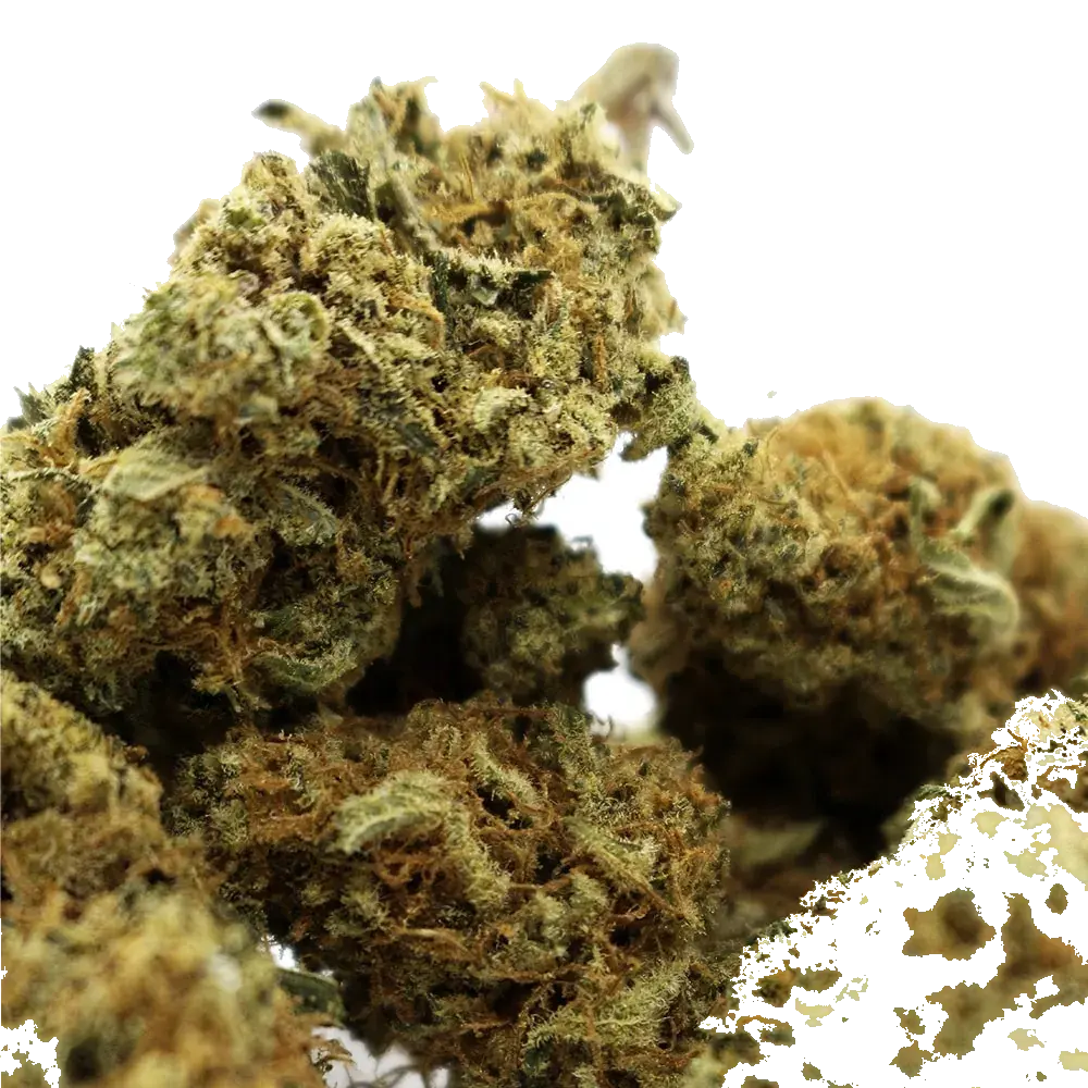 Super Sour Diesel - miniatura 3