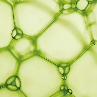 Red de burbujas verdes de paredes hexagonales