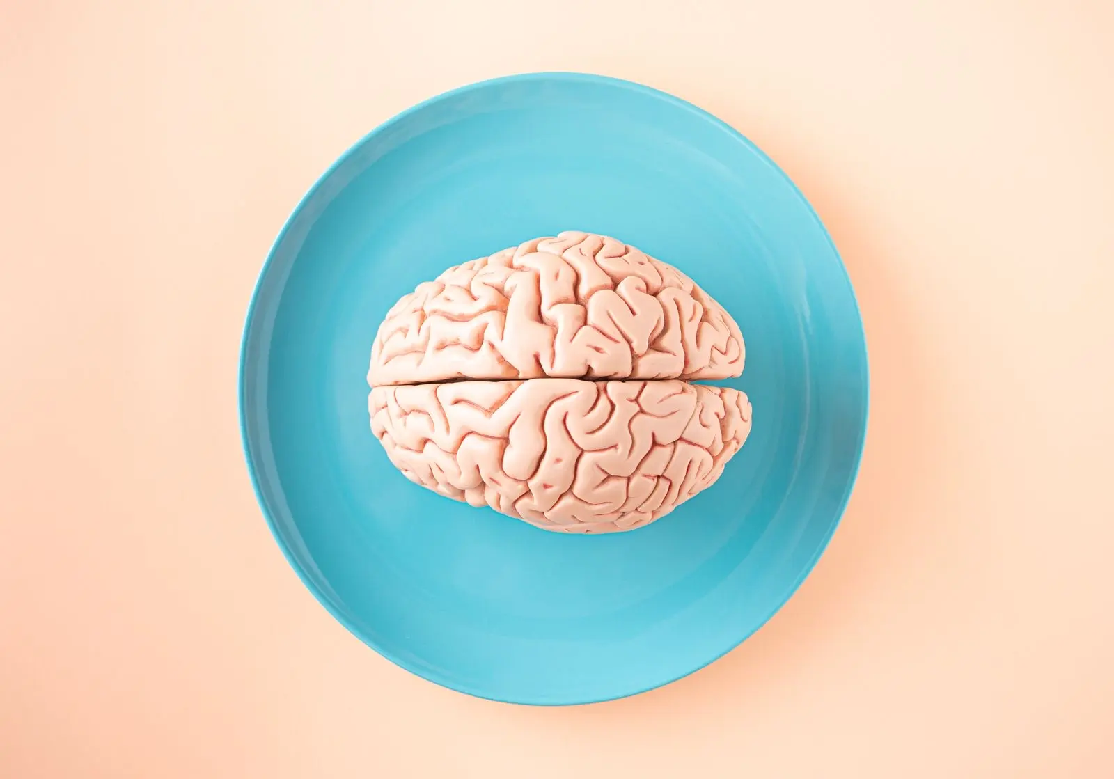 Modelo anatómico de un cerebro humano sobre un plato azul, visto desde arriba