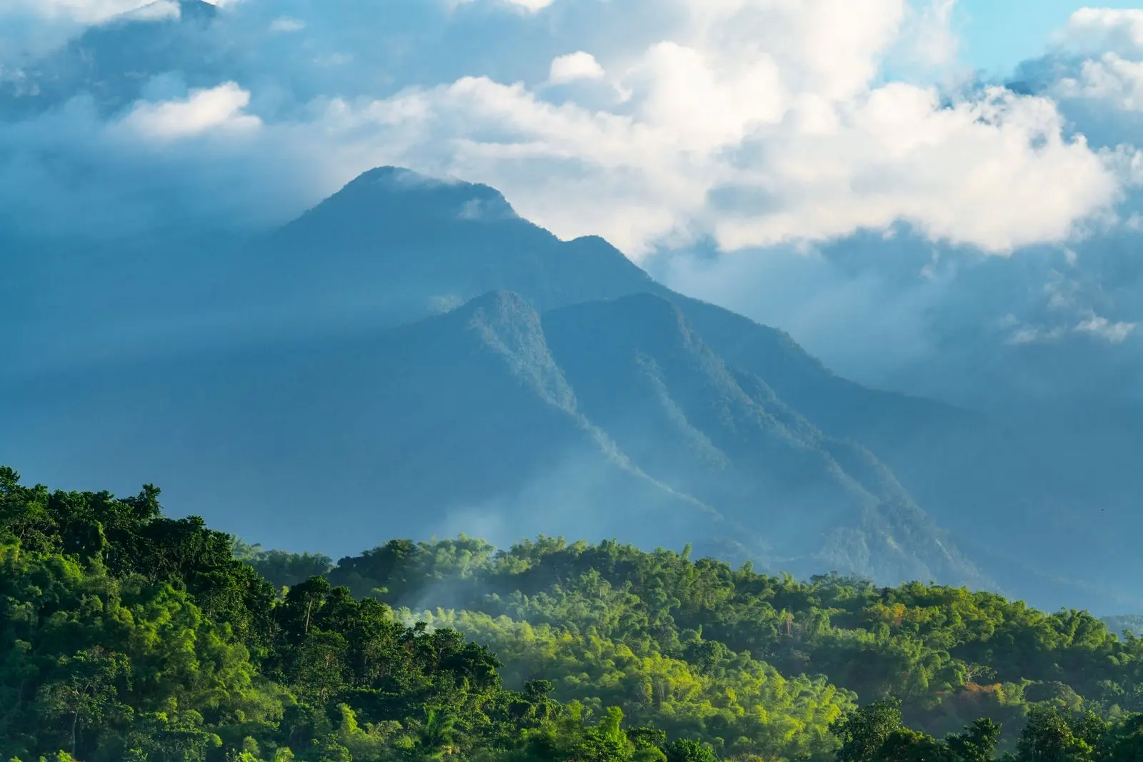 Las Blue Mountains de Jamaica entre nubes, sobre colinas cubiertas de bosque tropical