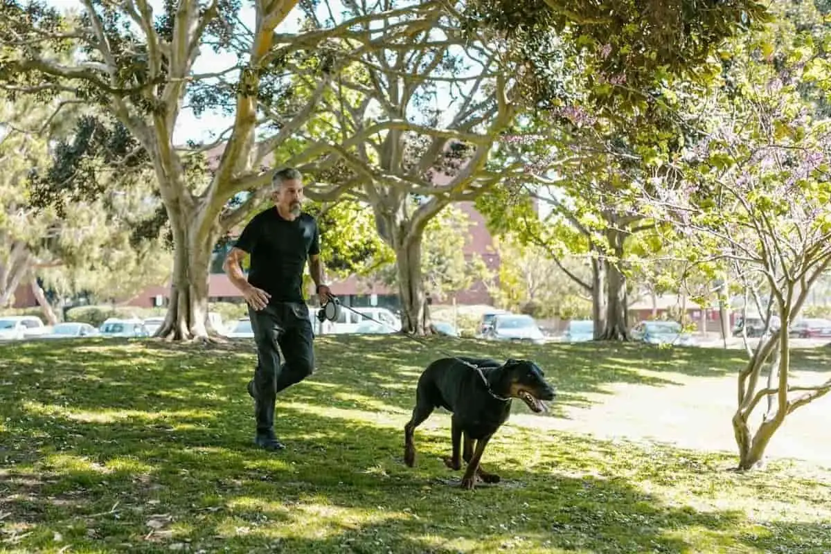 Vivir con un animal de compañía: 5 efectos documentados sobre la salud