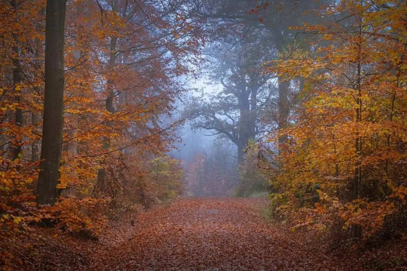 Equinoccio de otoño: recuperar una rutina de equilibrio