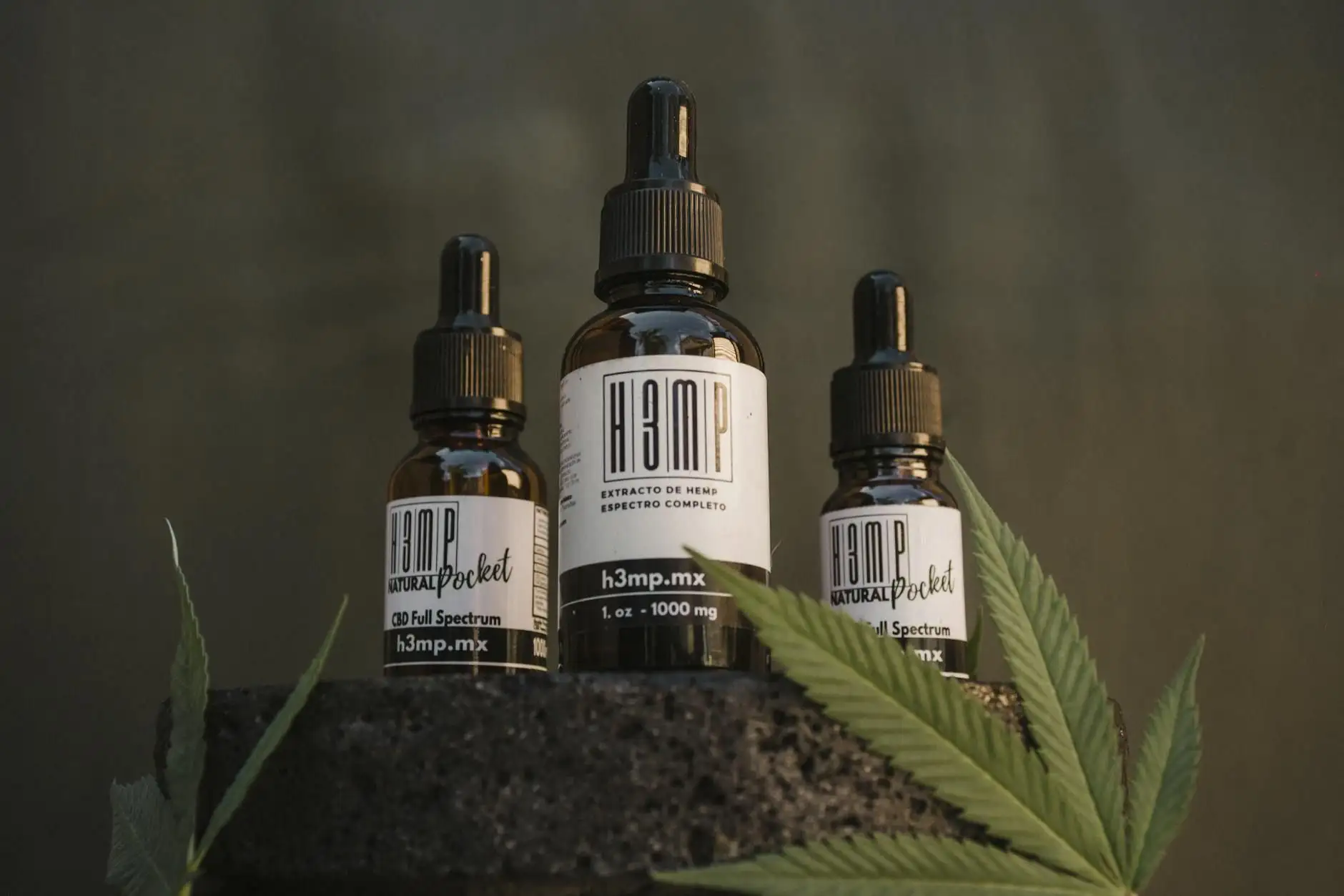 Aceite de CBD o de CBN para el ritual nocturno: ¿qué formato en Francia?