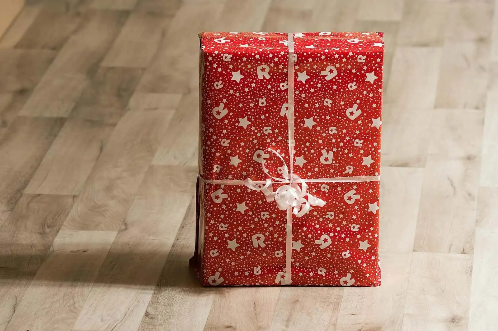 Ideas de regalo para amistades que conviven con animales